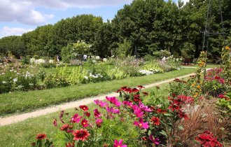 Jardin des Plantes