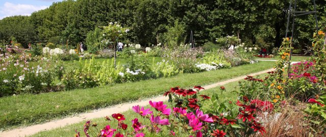 Jardin des Plantes