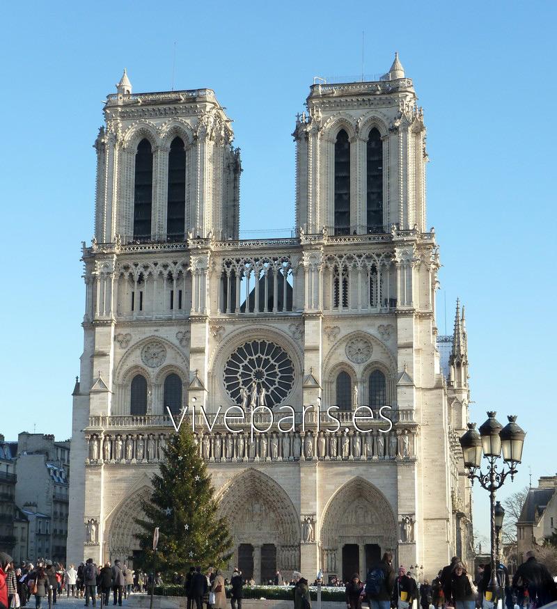 Catedral de Notre Dame - La catedral gótica de París Vive Paris