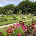 Jardin des Plantes